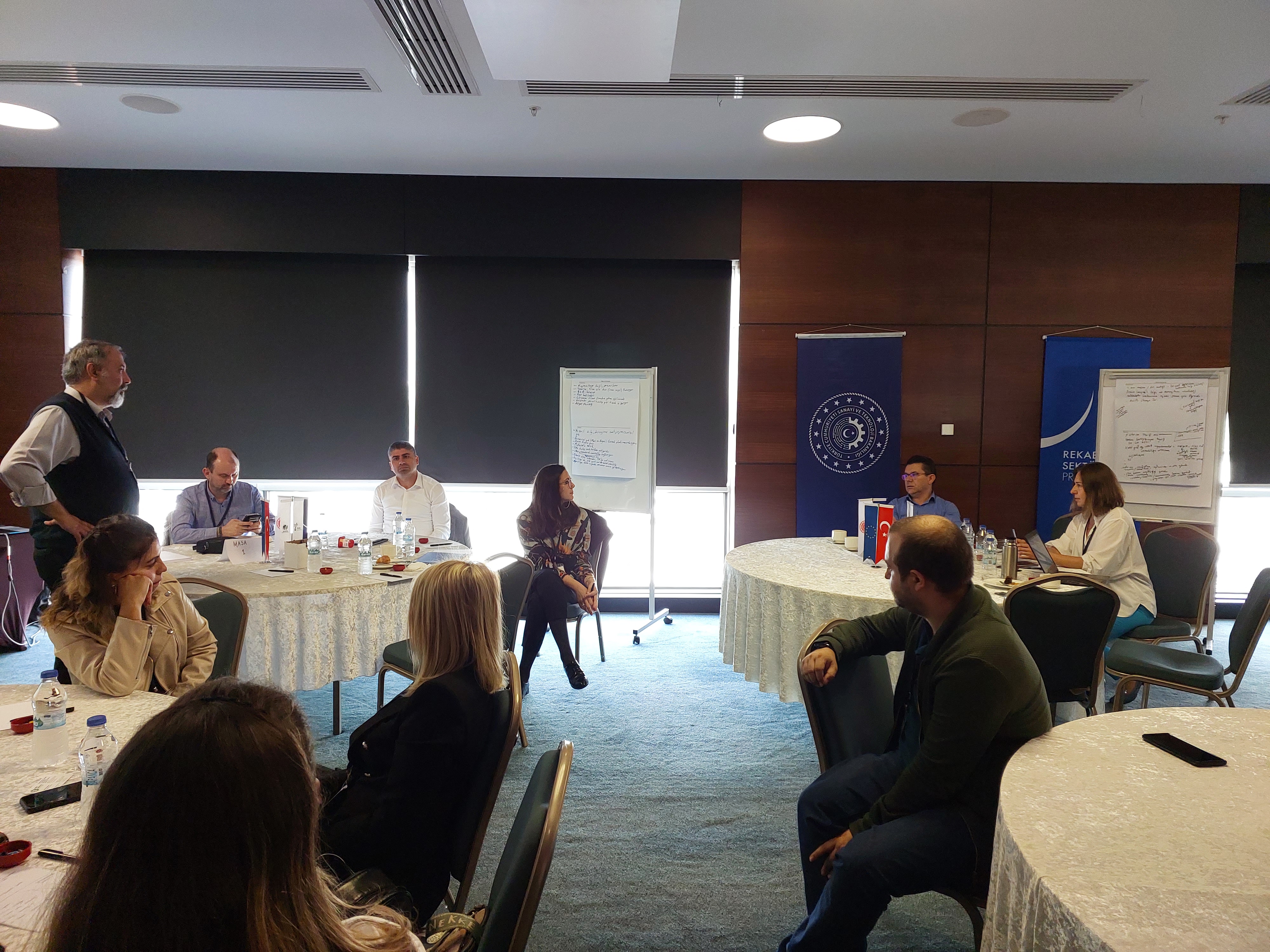 Değer Zinciri, Sektör Stratejisi ve Yükseltme Planı Bilgilendirme ve Değerlendirme Çalıştayları